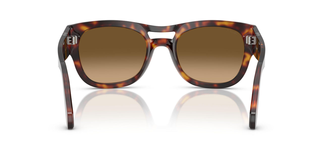 24/M2 - Tortoise - Brown Gradient Brown - Polar