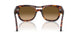 24/M2 - Tortoise - Brown Gradient Brown - Polar