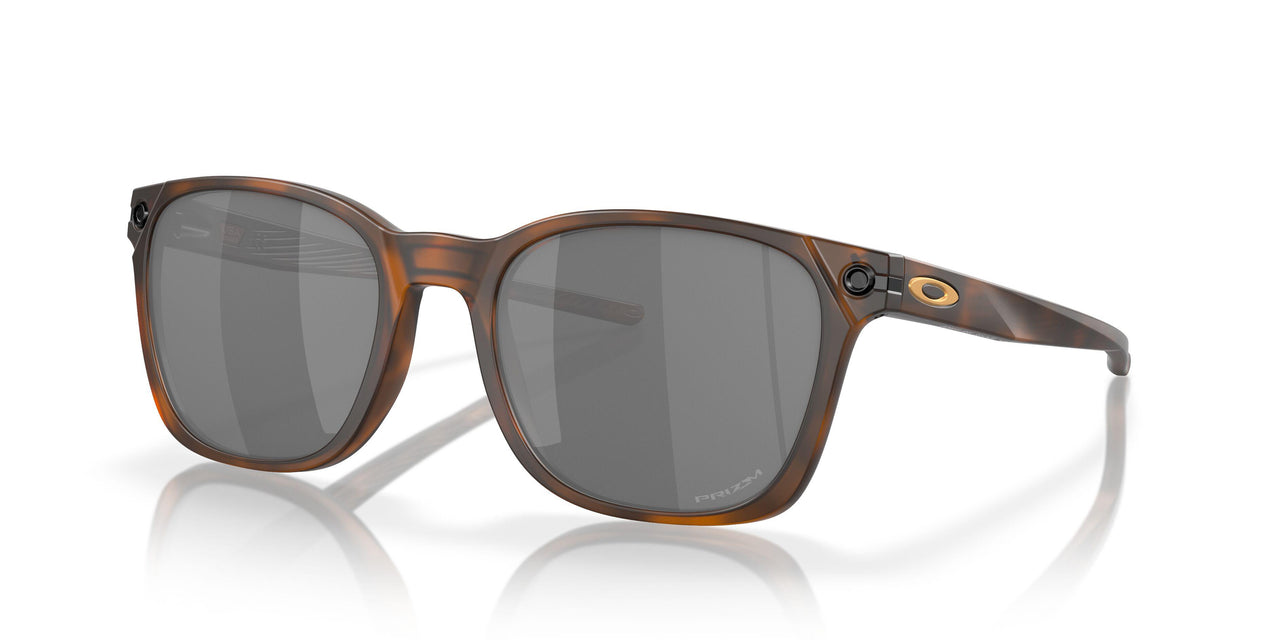 901818 - Brown - Prizm Black