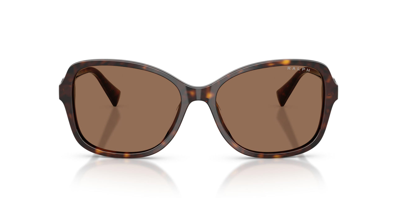 500373 - Tortoise - Brown