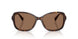 500373 - Tortoise - Brown