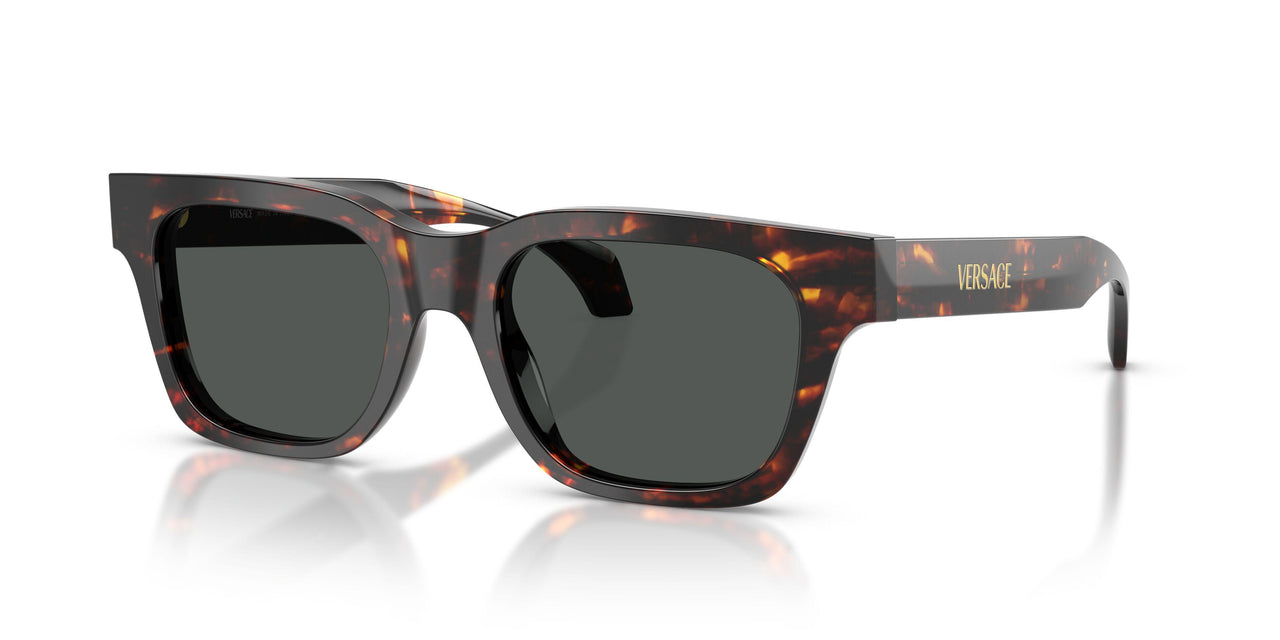 550987 - Tortoise - Dark Grey