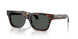 550987 - Tortoise - Dark Grey