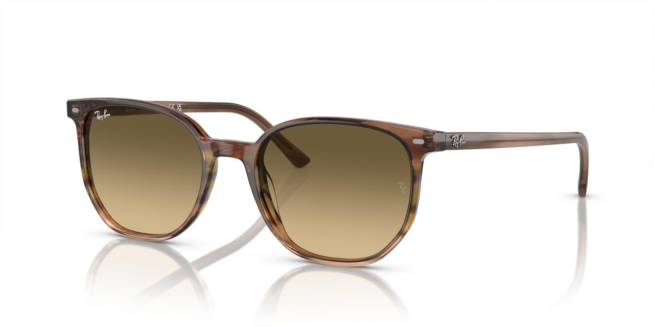 Ray-Ban Elliot 2197F Sunglasses