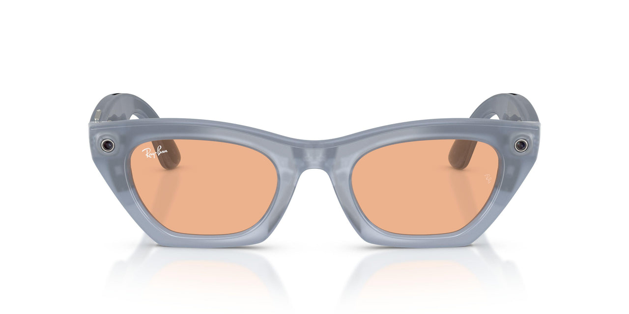 691410 - Brown - Clear/copper