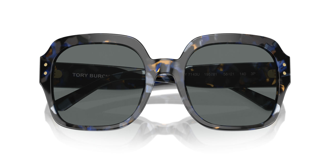 195781 - Blue - Dark Grey Polarized