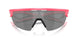 940310 - Pink - Prizm Black