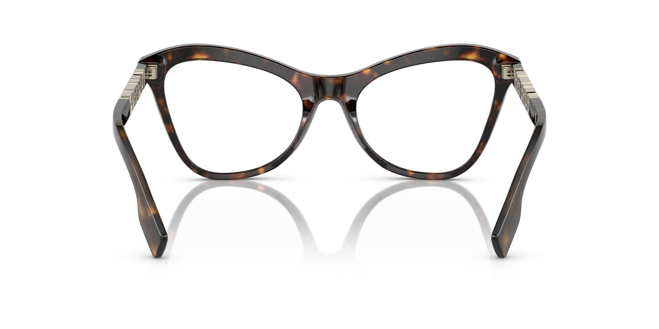 3002 - Brown