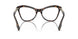 3002 - Brown