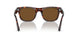 24/57 - Havana - Polar Brown