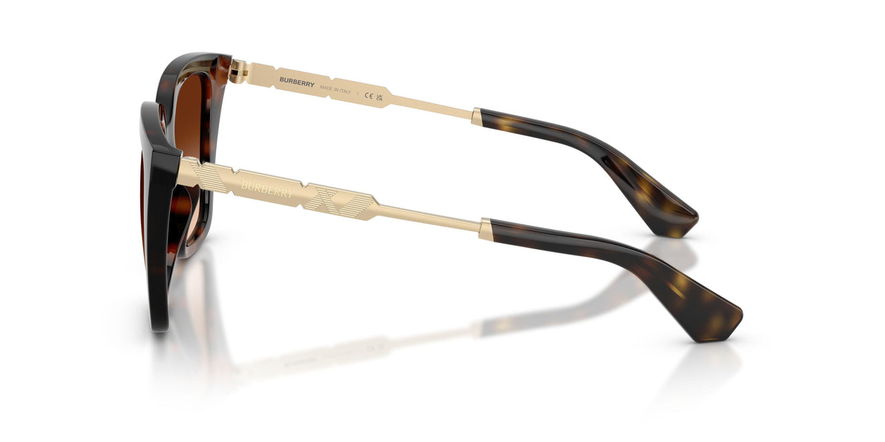 300274 - Brown - Brown Gradient