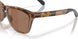 950303 - Brown - Prizm Tungsten Polarized