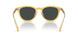 50053R - Tortoise - Dark Grey Mirror Green