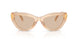 308993 - Brown - Light Brown