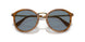 960/56 - Tortoise - Light Blue