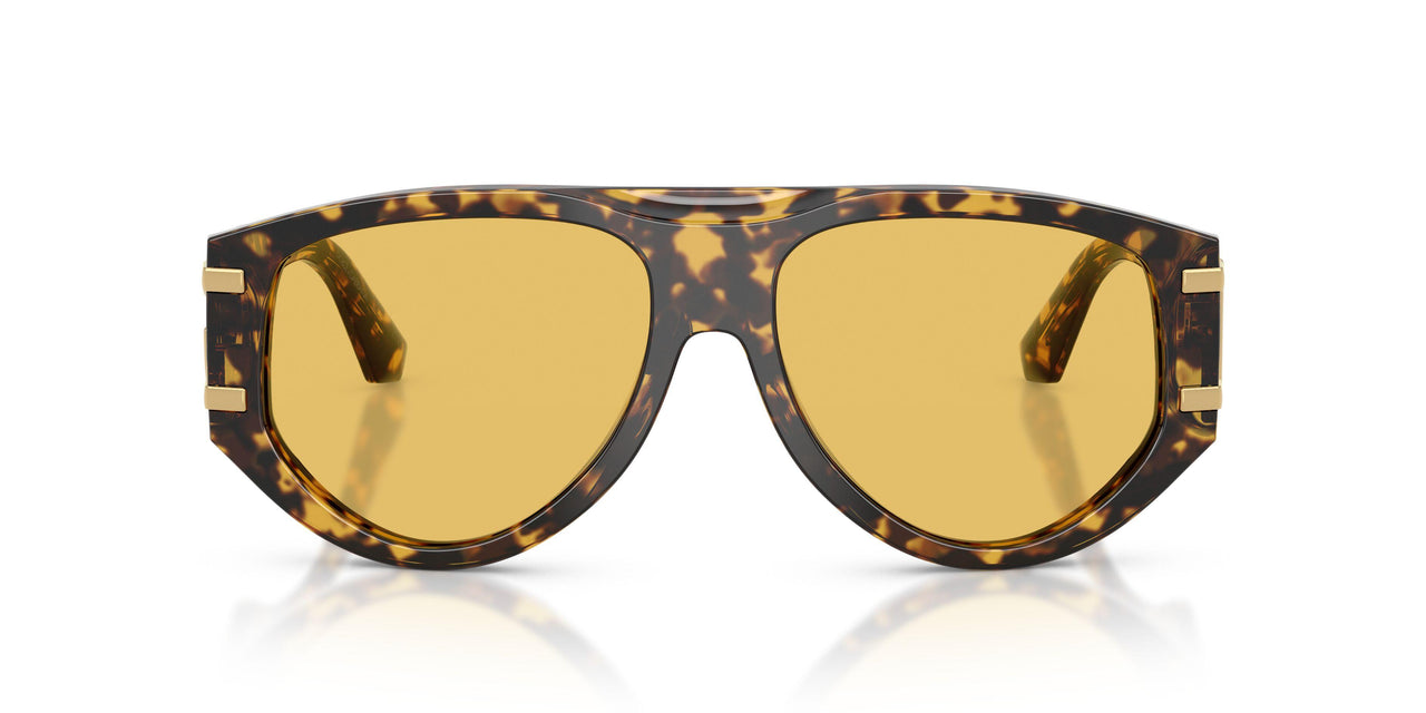 333085 - Tortoise - Yellow