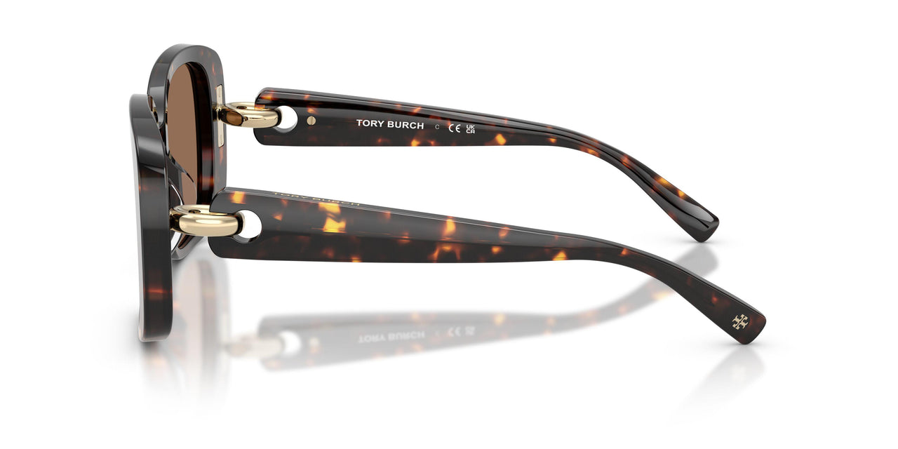 198173 - Tortoise - Brown