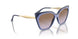 310268 - Violet - Violet Gradient Brown