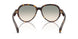 30022A - Tortoise - Light Brown Grad Light Green