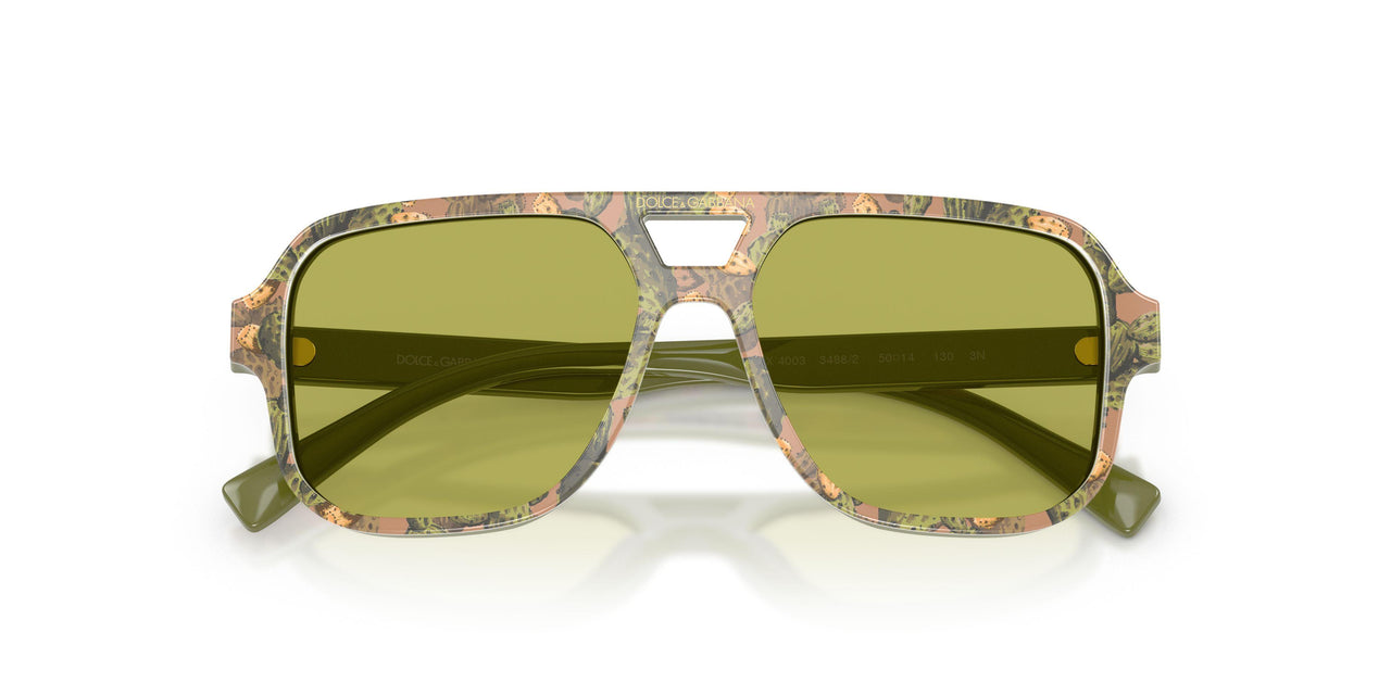 3488/2 - Multicolor - Green