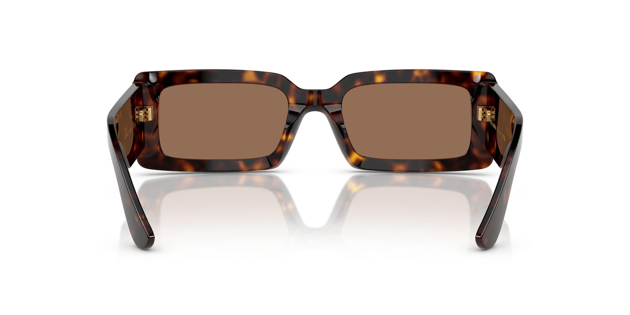 193573 - Tortoise - Dark Brown
