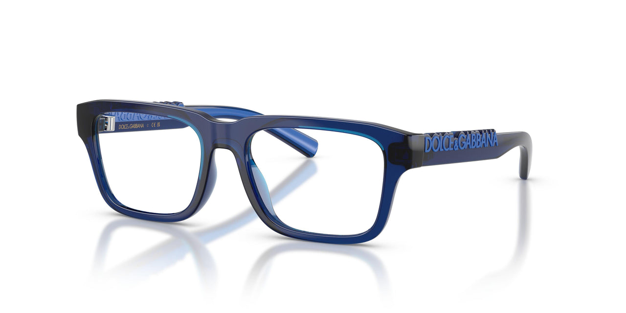 3009 - Blue