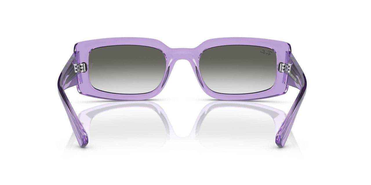 66858E - Violet - Light Grey
