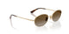 848/T5 - Gold - Grey Gradient Brown Polarized