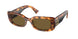 VAU01T - Tortoise - Dark Brown
