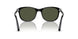 95/31 - Black - Green