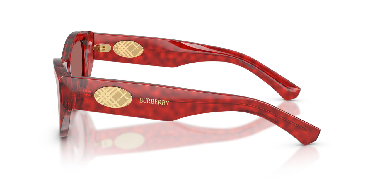 425769 - Red - Dark Violet