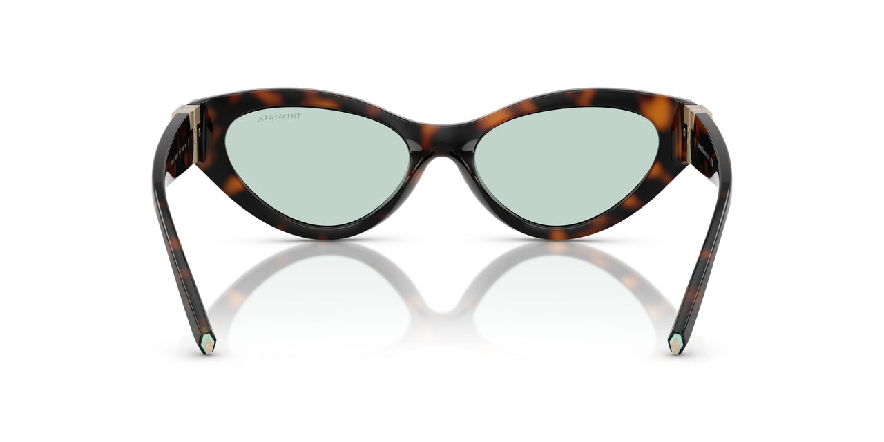 8429D9 - Tortoise - Light Azure