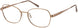 Aristar AR30807 Eyeglasses