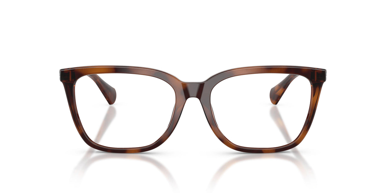 6149 - Tortoise