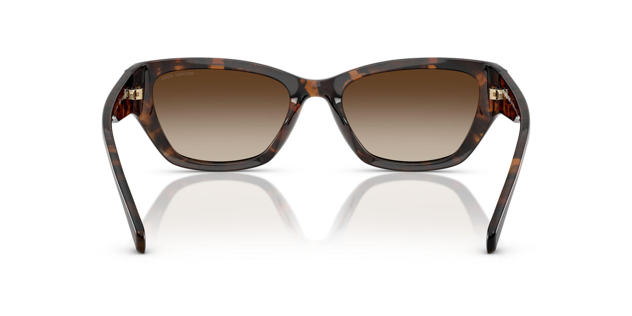 300613 - Tortoise - Smoke Gradient