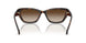 300613 - Tortoise - Smoke Gradient
