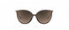 6230 - Brown / Gold - Glossy Caramel Mirror