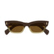 004 - Brown - Brown