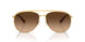 400474 - Gold - Gradient Brown