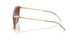 626313 - Brown - Gradient Brown