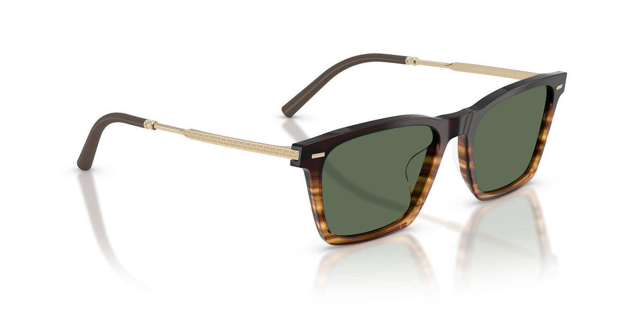 13929A - Brown - G-15 Polarized