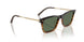 13929A - Brown - G-15 Polarized