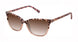 Ted Baker TWS322 Sunglasses