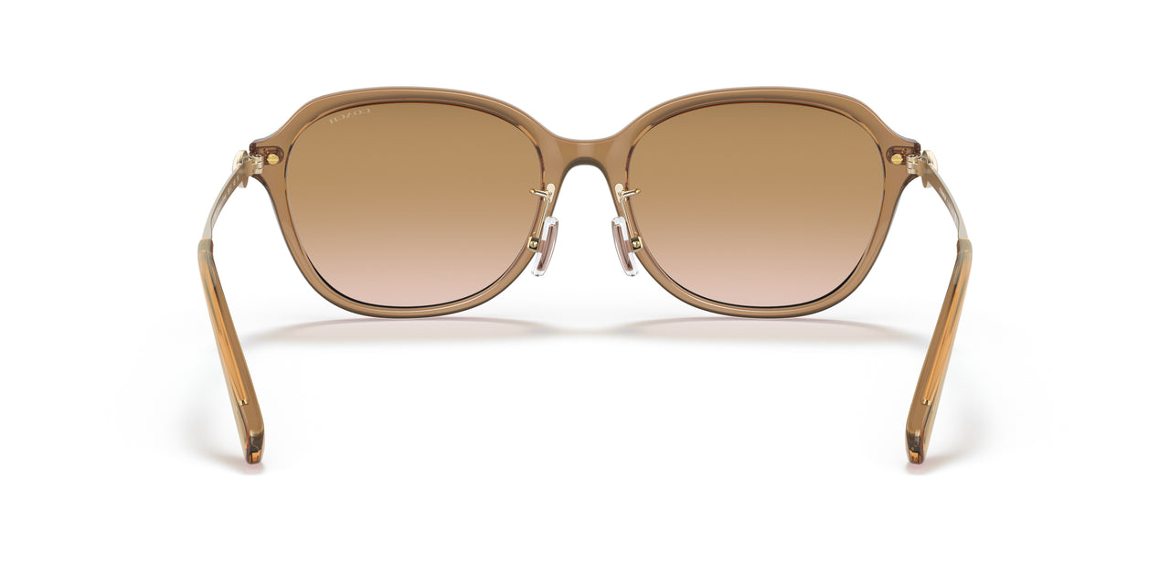 565413 - Brown - Brown Gradient