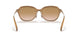 565413 - Brown - Brown Gradient