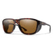 Smith Optics Sport & Performance 204617 Embark Sunglasses