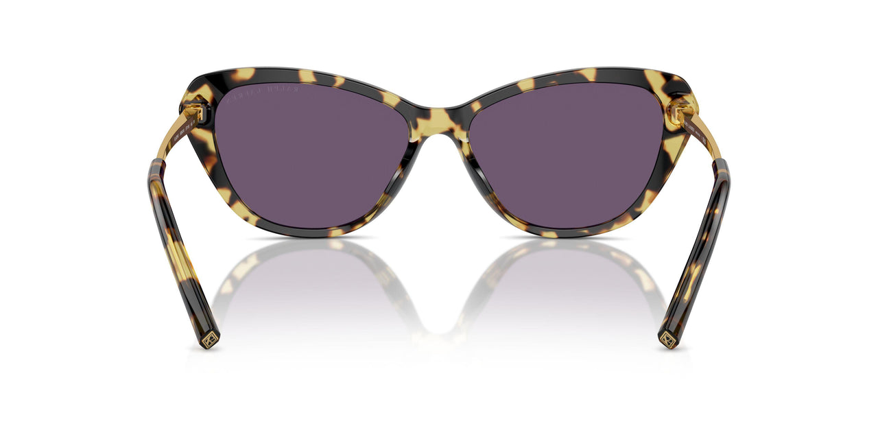 50041A - Brown - Purple