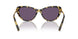 50041A - Brown - Purple