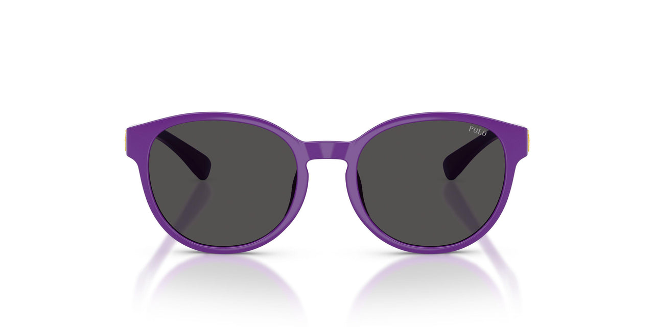 632787 - Violet - Dark Grey