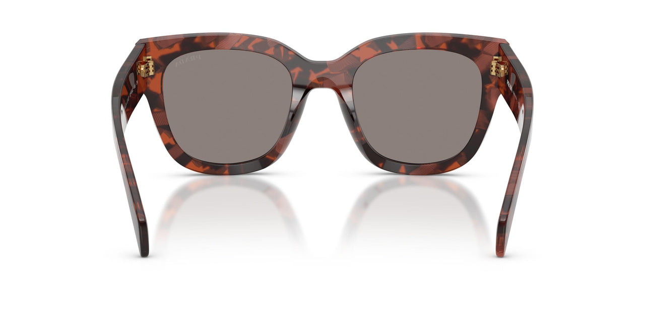 23F80Q - Tortoise - Dark Grey